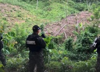 FFAA despliega 192 efectivos para reforzar seguridad y rescate durante el Feriado Morazánico